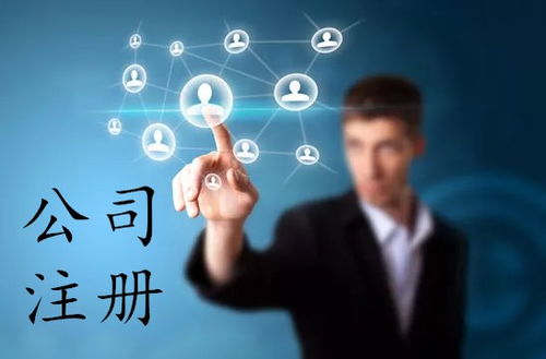 上海软件公司注册全攻略 流程、费用与网络技术服务指南